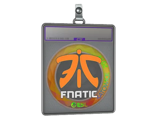 Sticker Slab | Fnatic (Holo) | Katowice 2019