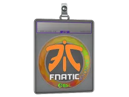 Sticker Slab | Fnatic (Holo) | Katowice 2019