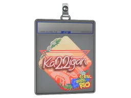 Sticker Slab | karrigan | Rio 2022