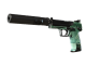USP-S | PC-GRN (Well-Worn)