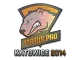 Sticker | Virtus.Pro | Katowice 2014 CS2 skin