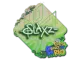Sticker | slaxz- | Rio 2022 CS2 skin