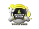 Sticker | BLAST.tv | Paris 2023 CS2 skin