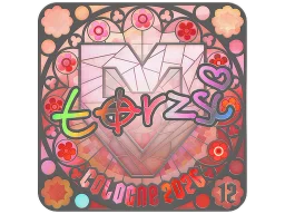 Sticker | torzsi (Holo, Ranked) | Cologne 2026