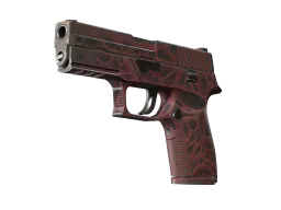P250 | Contaminant CS2 skin