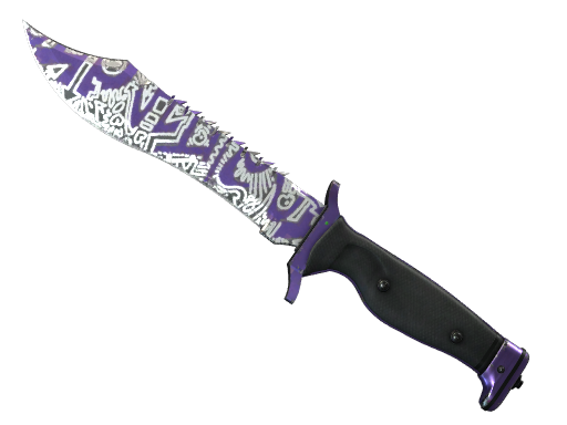 ★ Bowie Knife | Freehand (Well-Worn)