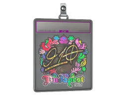 Sticker Slab | 910 (Holo) | Budapest 2025