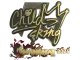 Sticker | ChildKing (Gold) | Shanghai 2024 CS2 skin