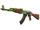 AK-47 | Hydroponic skin