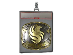 Sticker Slab | Falcons (Gold) | Austin 2025