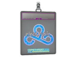Sticker Slab | electronic (Holo) | Copenhagen 2024
