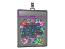 Sticker Slab | NertZ (Holo) | Budapest 2025