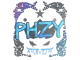 Sticker | phzy | Austin 2025 CS2 skin