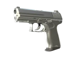 P2000 | Silver (Factory New)