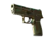 P250 | Verdigris CS2 skin