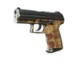 P2000 | Coach Class (Battle-Scarred)