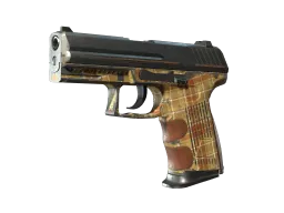 P2000 | Coach Class (Battle-Scarred)