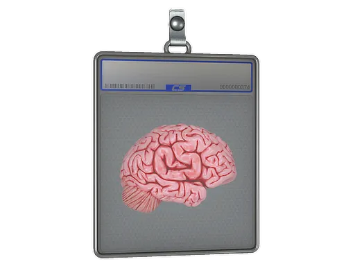 Sticker Slab | CS On The Mind
