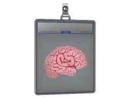 Sticker Slab | CS On The Mind