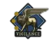Patch | Vigilance CS2 skin