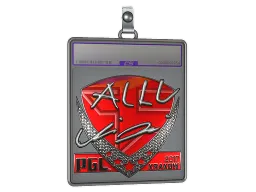 Sticker Slab | allu (Foil) | Krakow 2017