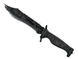 ★ Bowie Knife | Night (Battle-Scarred)