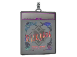 Sticker Slab | riskyb0b (Holo) | Austin 2025