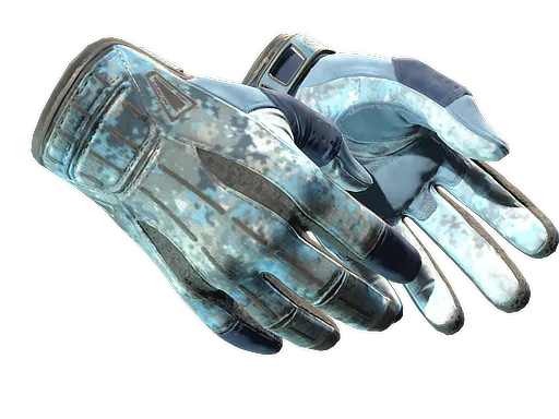 ★ Sport Gloves | Frosty (Minimal Wear)