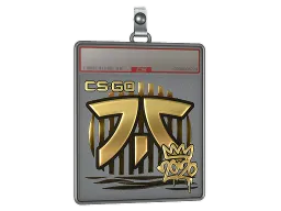 Sticker Slab | Fnatic (Gold) | 2020 RMR