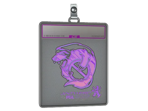 Sticker Slab | Outsiders (Holo) | Antwerp 2022