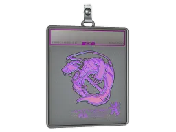 Sticker Slab | Outsiders (Holo) | Antwerp 2022