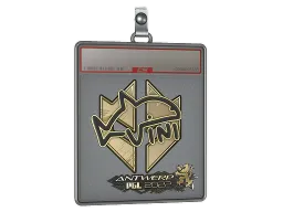 Sticker Slab | VINI (Gold) | Antwerp 2022