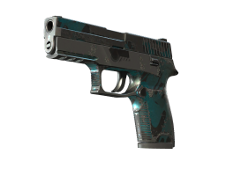 P250 | Ripple (Battle-Scarred)