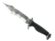 ★ Bowie Knife | Stained CS2 skin