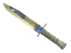 ★ Bayonet | Case Hardened CS2 skin