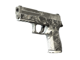 P250 | Sleet CS2 Skin