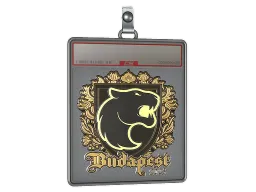 Sticker Slab | FURIA (Gold) | Budapest 2025