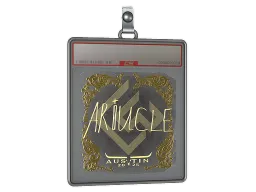 Sticker Slab | Ariucle (Gold) | Austin 2025