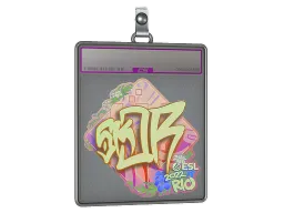 Sticker Slab | sk0R (Holo) | Rio 2022