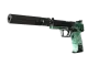 USP-S | PC-GRN CS2 skin