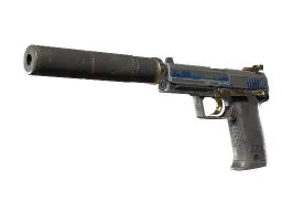 USP-S | Royal Guard CS2 skin