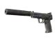 USP-S | Royal Guard CS2 skin