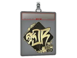 Sticker Slab | sk0R (Gold) | Rio 2022