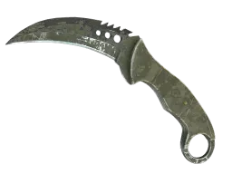 ★ StatTrak™ Talon Knife | Safari Mesh (Battle-Scarred)