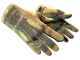 ★ Sport Gloves | Arid CS2 skin