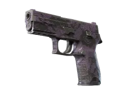 P250 | Plum Netting (Well-Worn)