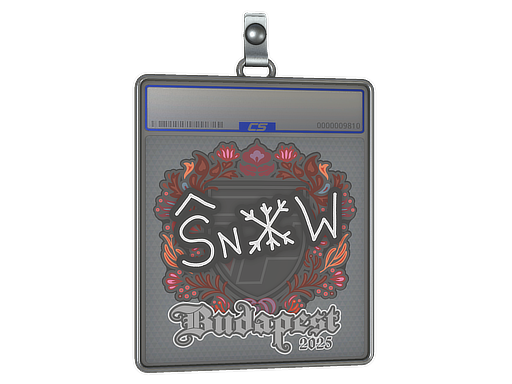 Sticker Slab | snow | Budapest 2025