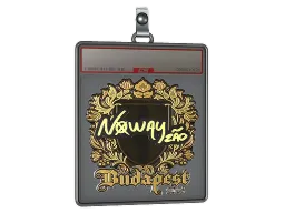Sticker Slab | noway (Gold) | Budapest 2025