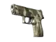 P250 | Bone Mask CS2 skin