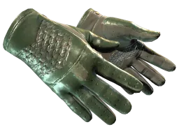 ★ Driver Gloves | Racing Green (Well-Worn)